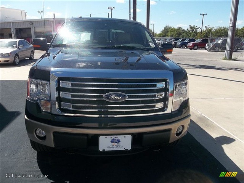 2013 F150 XLT SuperCrew - Ruby Red Metallic / Adobe photo #83