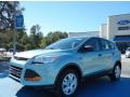 2013 Frosted Glass Metallic Ford Escape S  photo #1