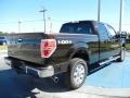 Kodiak Brown Metallic - F150 XLT SuperCrew 4x4 Photo No. 3