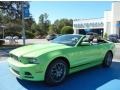 Gotta Have It Green - Mustang V6 Mustang Club of America Edition Convertible Photo No. 4