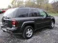 2005 Emerald Jewel Green Metallic Chevrolet TrailBlazer LT 4x4  photo #11