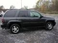 2005 Emerald Jewel Green Metallic Chevrolet TrailBlazer LT 4x4  photo #13