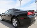 Pitch Black - Charger SE Photo No. 5