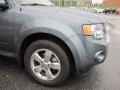 2010 Steel Blue Metallic Ford Escape Limited V6 4WD  photo #3
