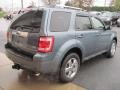 2010 Steel Blue Metallic Ford Escape Limited V6 4WD  photo #8