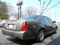 Bronzemist - DeVille DHS Sedan Photo No. 6