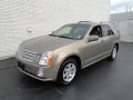 Radiant Bronze - SRX V6 Photo No. 1