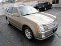 Radiant Bronze - SRX V6 Photo No. 3