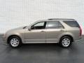 Radiant Bronze - SRX V6 Photo No. 7