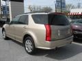 Sand Storm - SRX V6 Photo No. 4