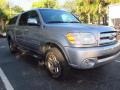 2005 Phantom Gray Pearl Toyota Tundra SR5 Double Cab  photo #2