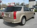 Sand Storm - SRX V6 Photo No. 8