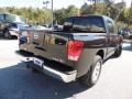 Galaxy Black - Titan SV Crew Cab Photo No. 13