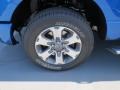 2013 Blue Flame Metallic Ford F150 STX Regular Cab  photo #10