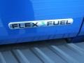 2013 Blue Flame Metallic Ford F150 STX Regular Cab  photo #16