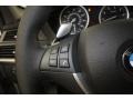 2010 BMW X6 Oyster Interior Controls Photo
