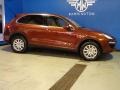 2011 Auburn Red Metallic Porsche Cayenne S Hybrid  photo #10