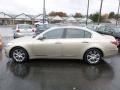 Champagne Beige Metallic - Genesis 4.6 Sedan Photo No. 4