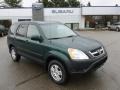 2004 Clover Green Pearl Honda CR-V EX 4WD  photo #1