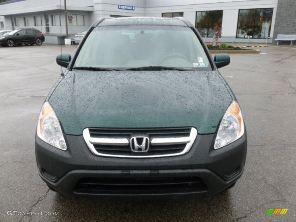 2004 CR-V EX 4WD - Clover Green Pearl / Saddle photo #2