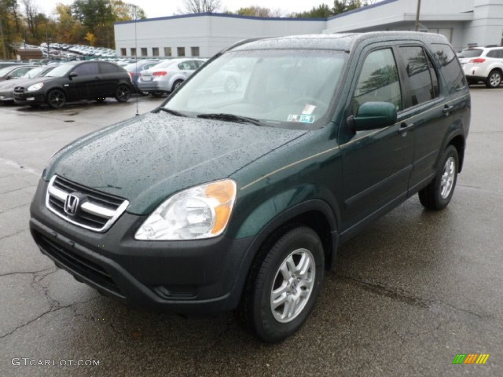 2004 CR-V EX 4WD - Clover Green Pearl / Saddle photo #3