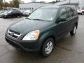 2004 Clover Green Pearl Honda CR-V EX 4WD  photo #3