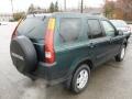 2004 Clover Green Pearl Honda CR-V EX 4WD  photo #7