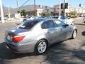 2010 Space Grey Metallic BMW 5 Series 528i Sedan  photo #3