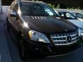 Black - ML 350 Photo No. 1