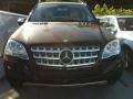 Black - ML 350 Photo No. 2