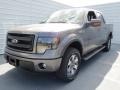 2013 Sterling Gray Metallic Ford F150 FX4 SuperCrew 4x4  photo #6