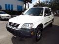 Taffeta White - CR-V LX Photo No. 7
