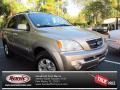 Gold Beige 2003 Kia Sorento LX