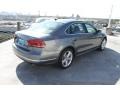Platinum Gray Metallic - Passat V6 SEL Photo No. 7