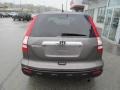 2009 Urban Titanium Metallic Honda CR-V EX 4WD  photo #7