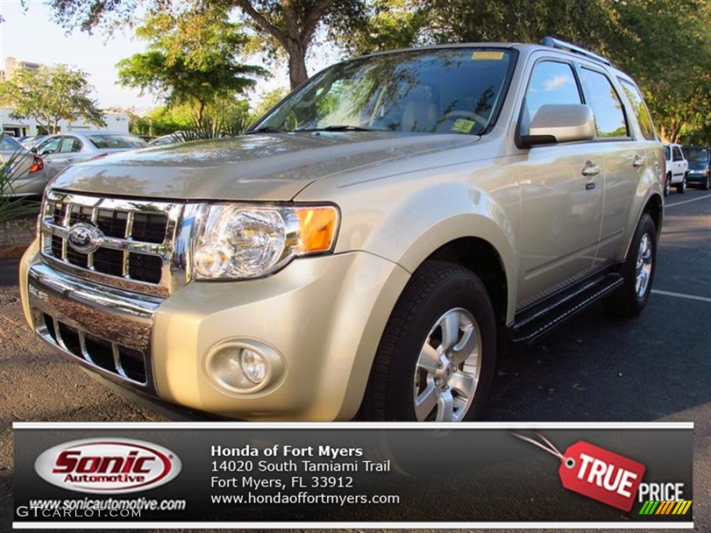 2010 Escape Limited - Gold Leaf Metallic / Camel photo #1