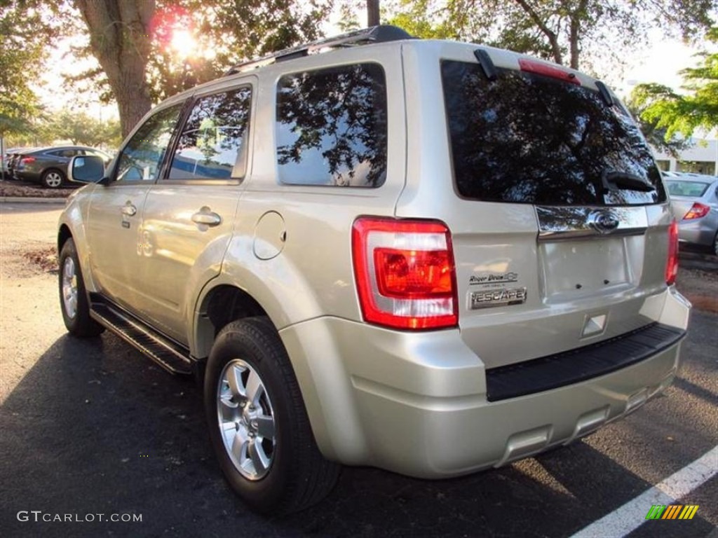2010 Escape Limited - Gold Leaf Metallic / Camel photo #4