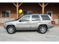 Silverstone Metallic - Grand Cherokee Limited 4x4 Photo No. 18