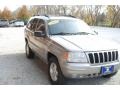 Silverstone Metallic - Grand Cherokee Limited 4x4 Photo No. 21