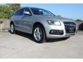 Cuvee Silver Metallic - Q5 2.0 TFSI quattro Photo No. 1