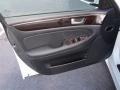 Saddle Door Panel Photo for 2012 Hyundai Genesis #72999139