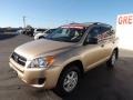 2009 Sandy Beach Metallic Toyota RAV4 I4  photo #3