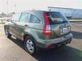 2007 Green Tea Metallic Honda CR-V LX  photo #5