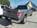 Sterling Grey Metallic - F150 XLT SuperCab Photo No. 6