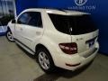 Arctic White - ML 350 4Matic Photo No. 35