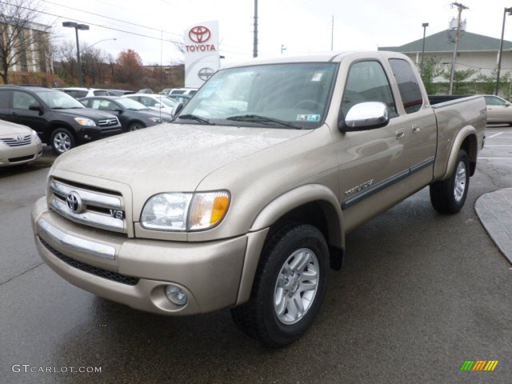 2004 Tundra SR5 Access Cab 4x4 - Desert Sand Mica / Oak photo #3