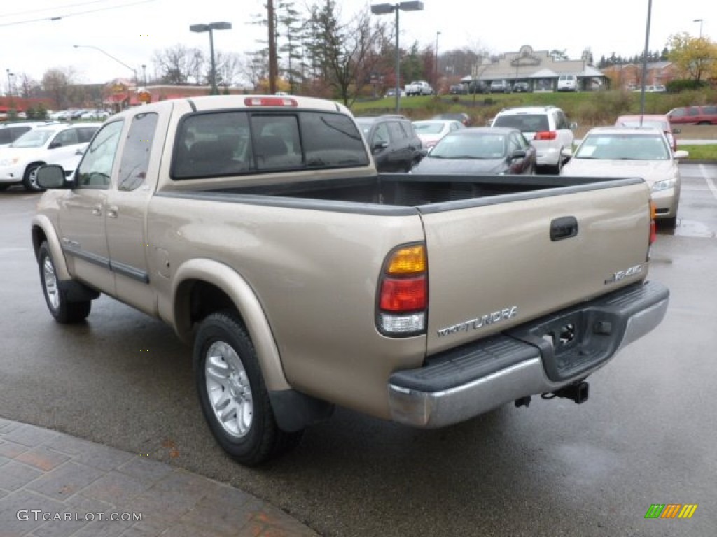 2004 Tundra SR5 Access Cab 4x4 - Desert Sand Mica / Oak photo #4
