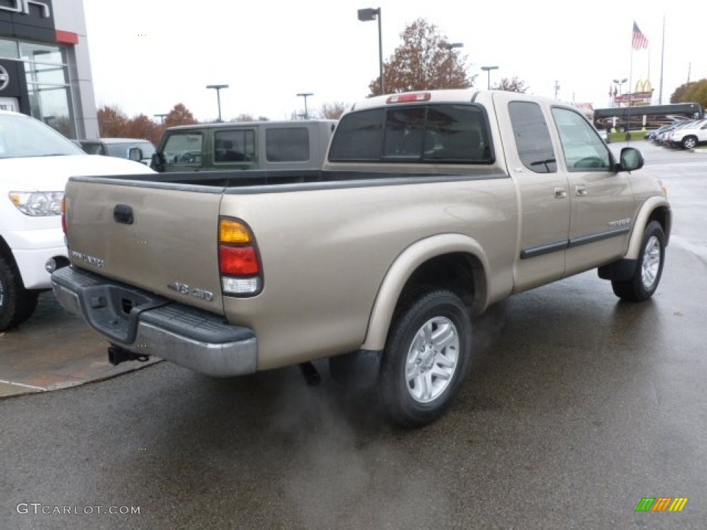 2004 Tundra SR5 Access Cab 4x4 - Desert Sand Mica / Oak photo #6