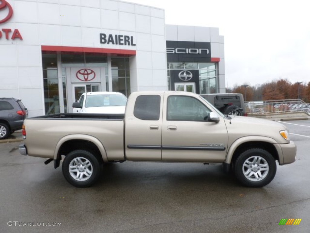2004 Tundra SR5 Access Cab 4x4 - Desert Sand Mica / Oak photo #7