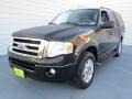 2010 Tuxedo Black Ford Expedition XLT  photo #6